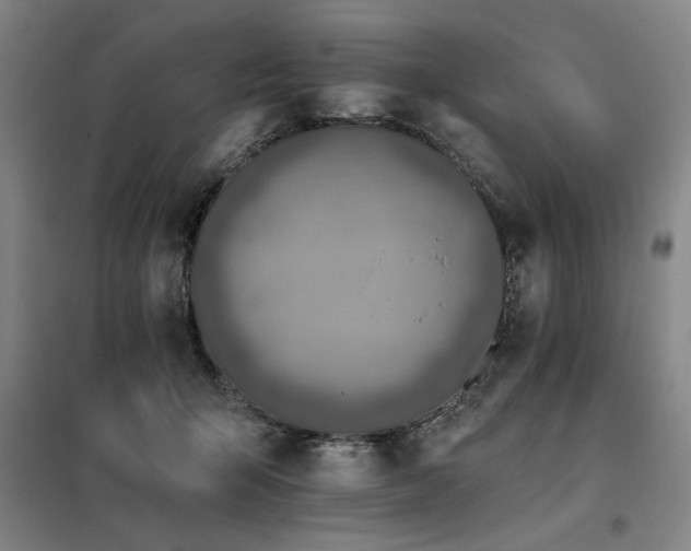 X0000098140415200804171552