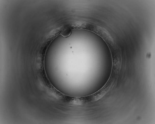 X0000098140416200804171552
