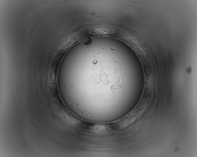 X0000098140418200804171552