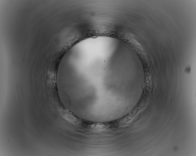 X0000098140419200804171552