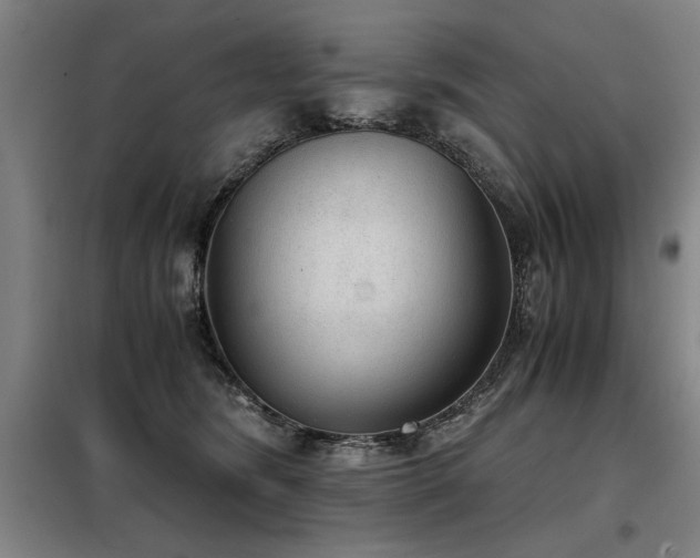X0000098140420200804171552