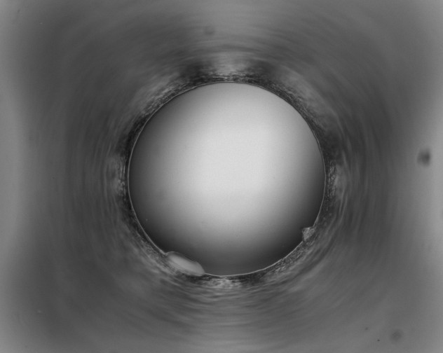 X0000098140421200804171552