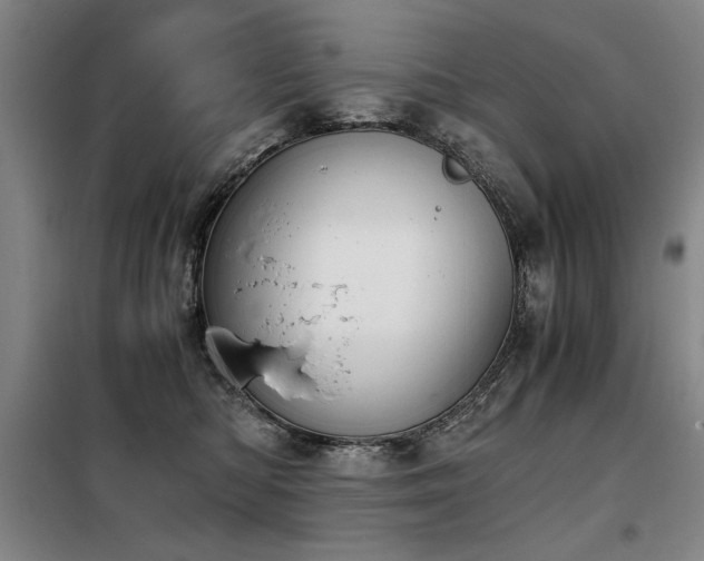 X0000098140422200804171552