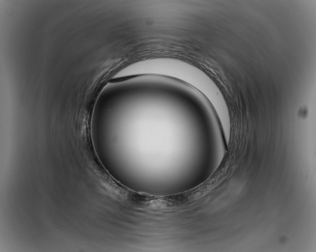 X0000098140423200804171552