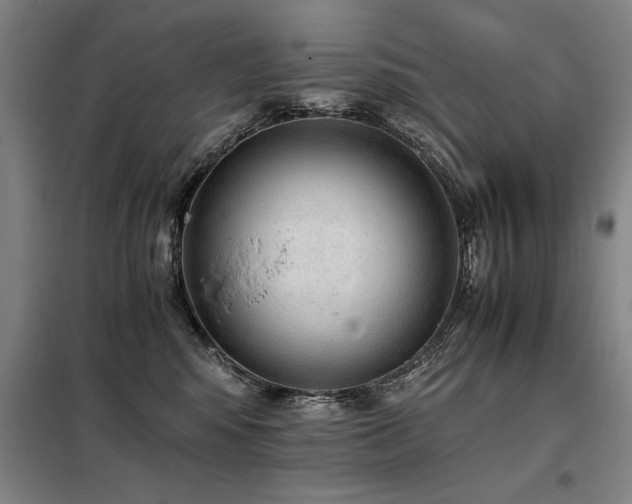 X0000098140424200804171552