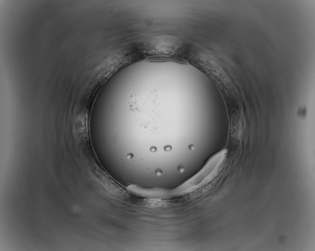 X0000098140425200804171552