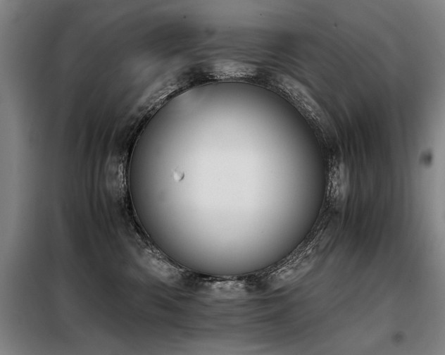 X0000098140426200804171552