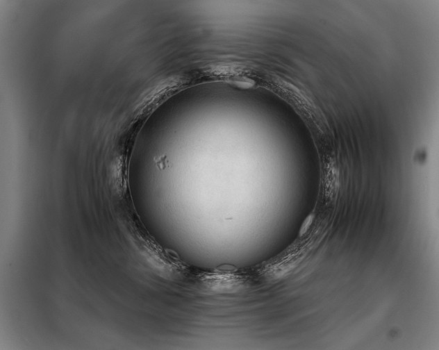 X0000098140428200804171552