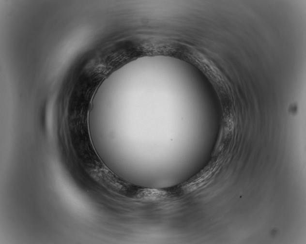 X0000098140429200804171552