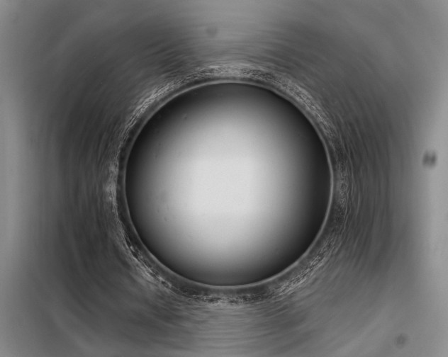 X0000098140434200804171551