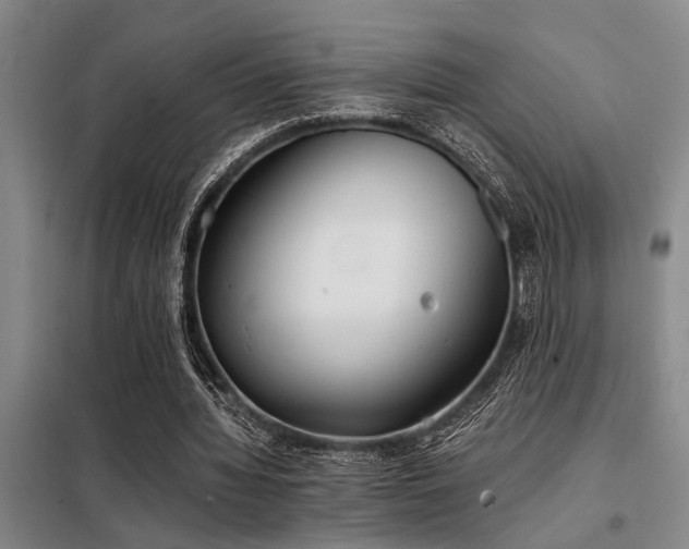 X0000098140436200804171551