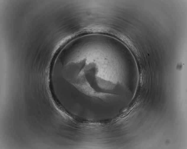 X0000098140438200804171551