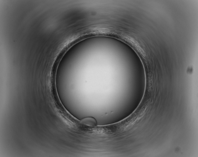 X0000098140439200804171551