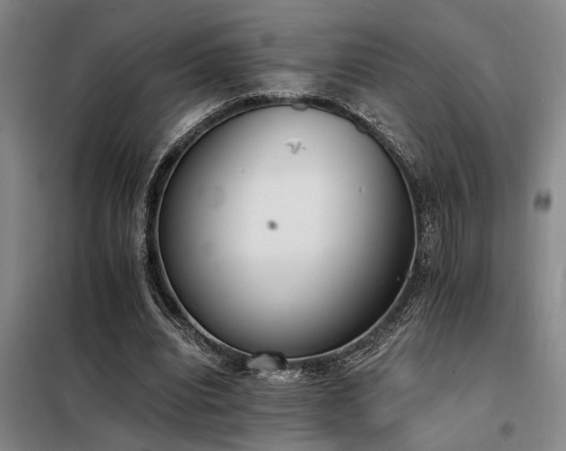 X0000098140440200804171551
