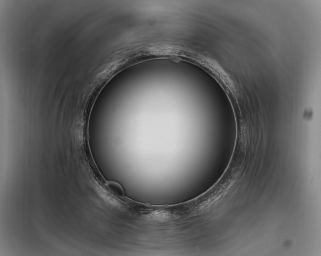 X0000098140441200804171551