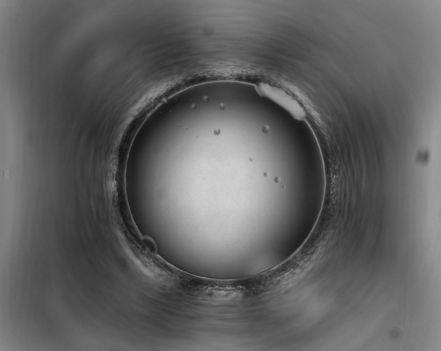X0000098140443200804171551