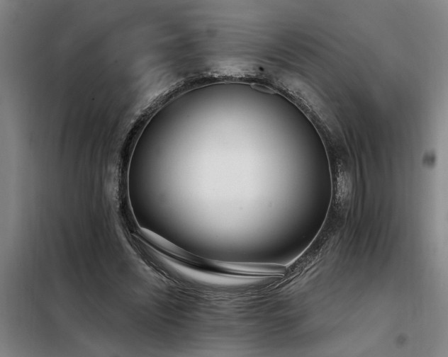 X0000098140444200804171551