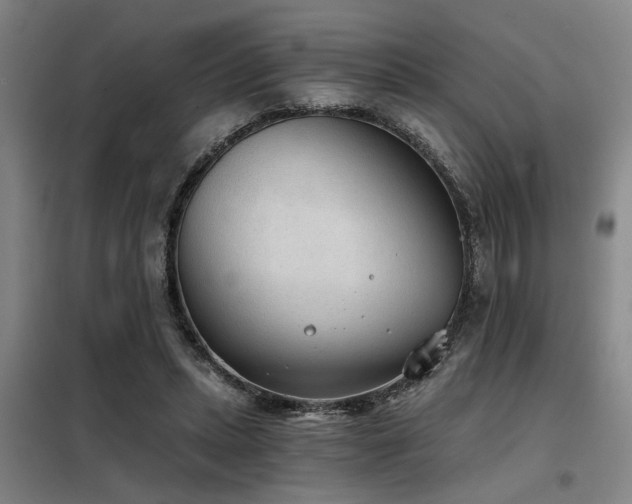X0000098140447200804171551