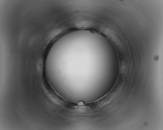 X0000098140448200804171551