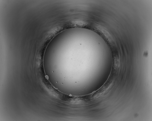 X0000098140451200804171551