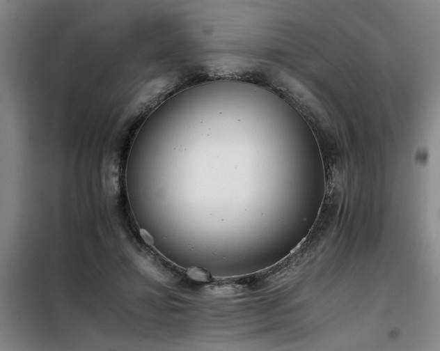 X0000098140452200804171551