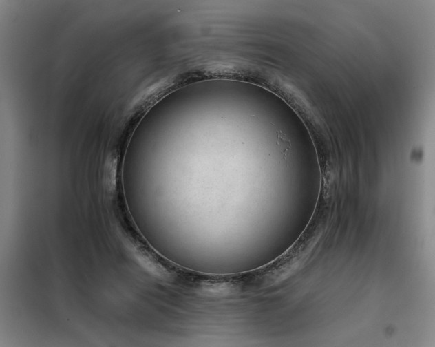 X0000098140454200804171551