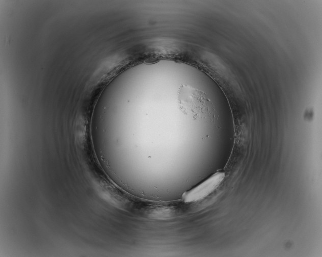 X0000098140456200804171551