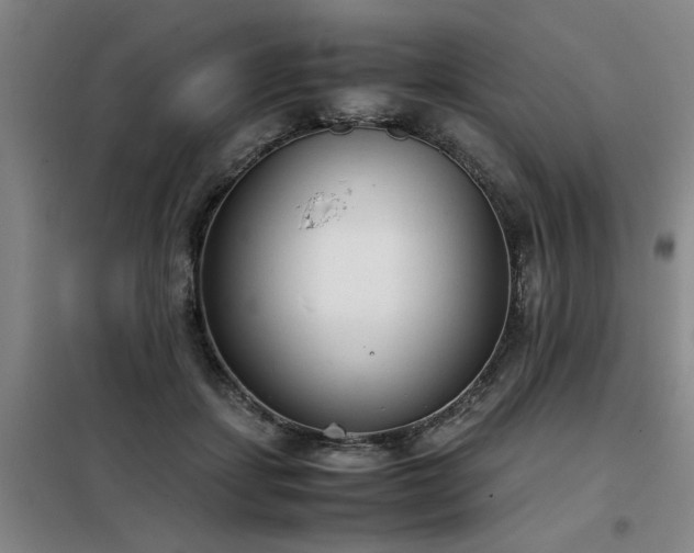 X0000098140459200804171551
