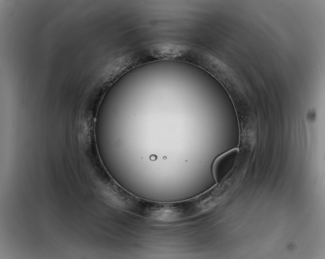 X0000098140460200804171551