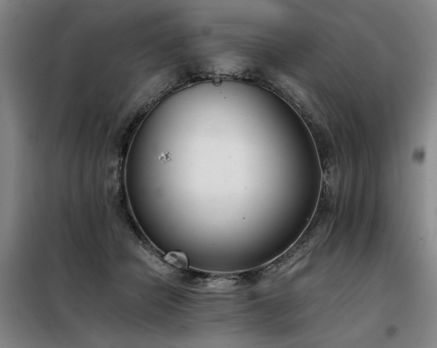 X0000098140462200804171551