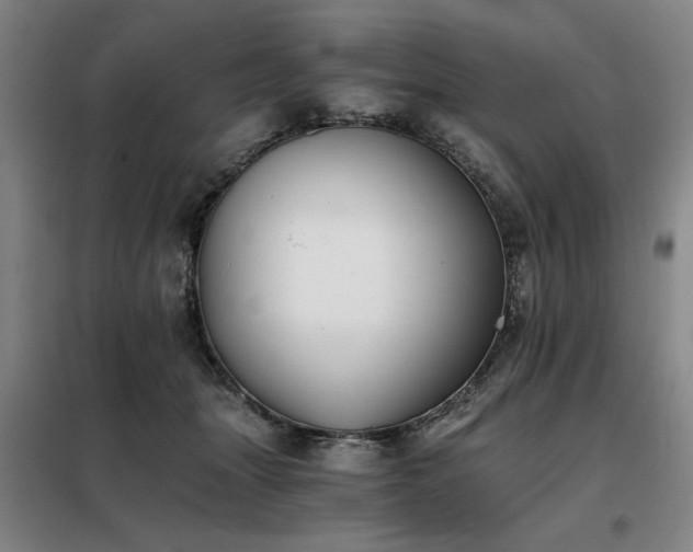 X0000098140463200804171551