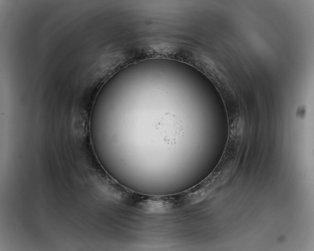 X0000098140464200804171551