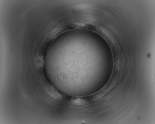 X0000098140467200804171551