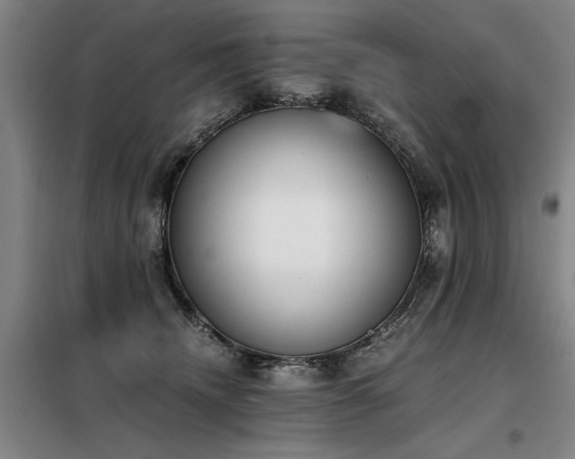 X0000098140468200804171551