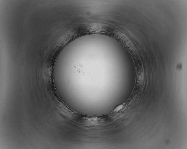 X0000098140473200804171551
