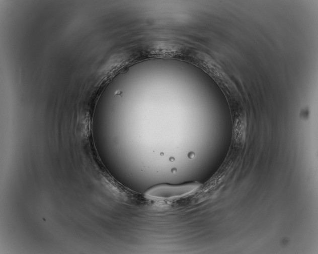 X0000098140474200804171551