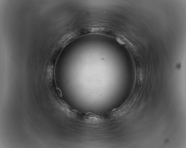 X0000098140475200804171551