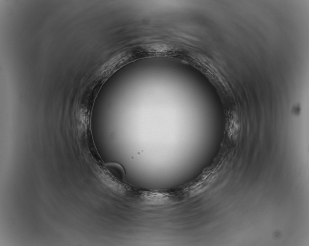 X0000098140476200804171551