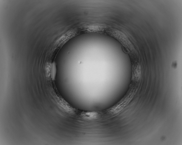 X0000098140478200804171551