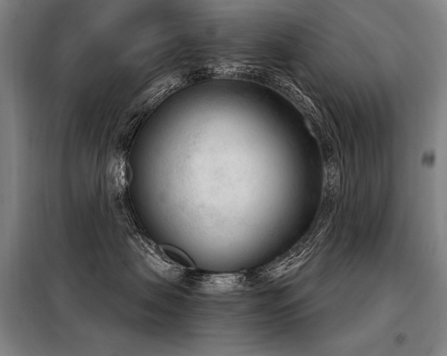 X0000098140479200804171552