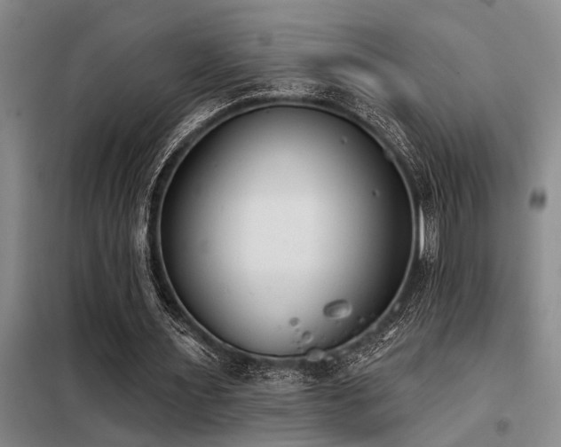 X0000098140483200804171551