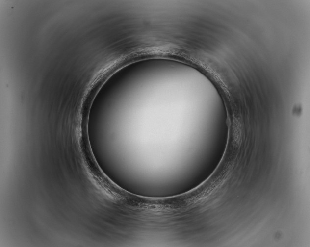 X0000098140486200804171551