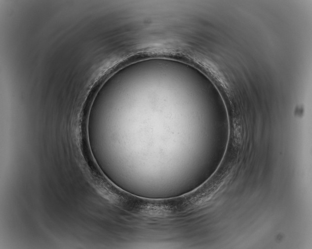 X0000098140487200804171551
