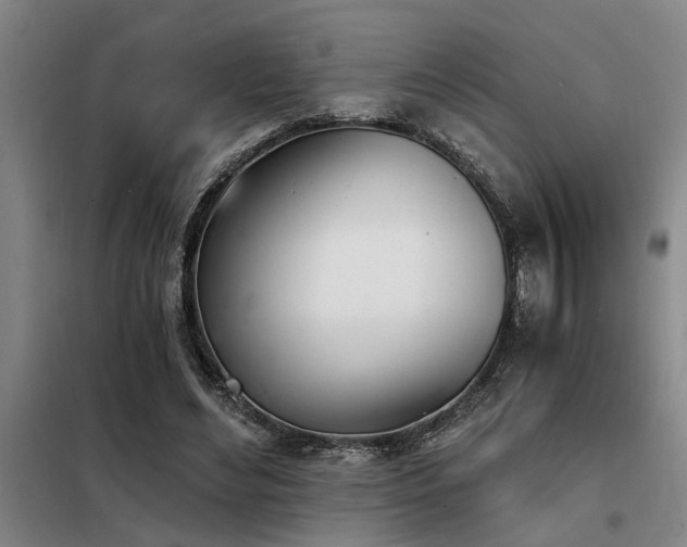 X0000098140492200804171551