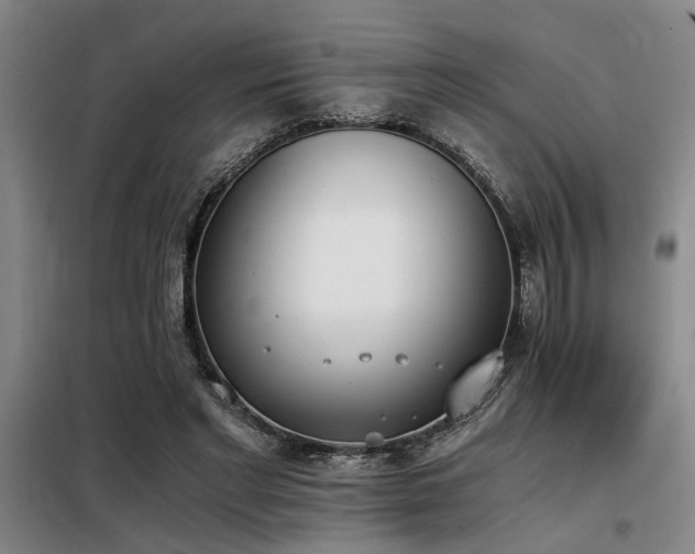 X0000098140493200804171551