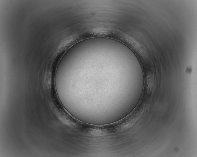 X0000098140494200804171551