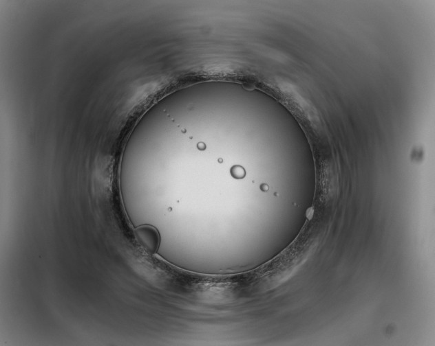 X0000098140495200804171551