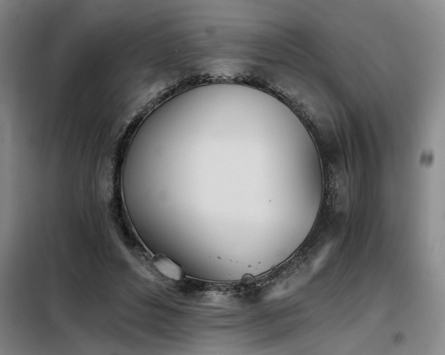 X0000098140496200804171551