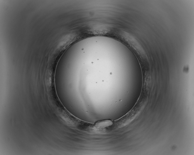 X0000098140501200804171551