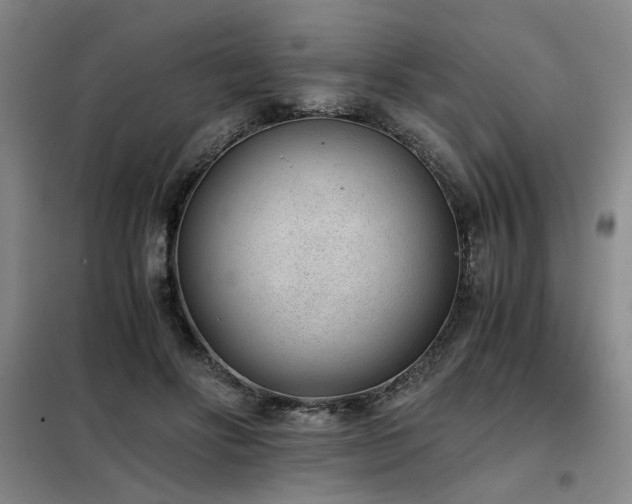 X0000098140502200804171551